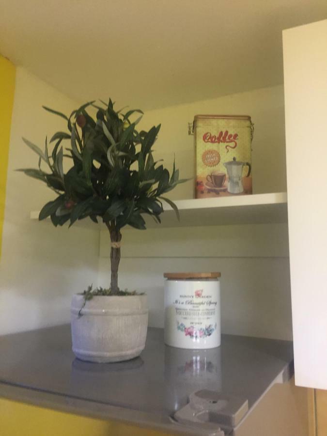 ספליט Apartment Medak City Center Nena מראה חיצוני תמונה